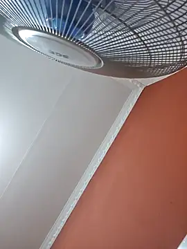 mojaymort online show from February 2026 11:08:02 PM