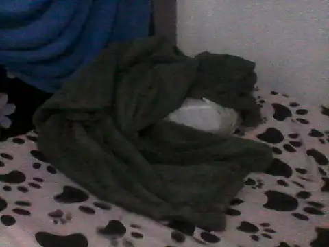 jade tall online show from October 2025 12:17:01 PM