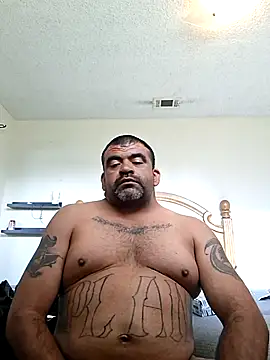 wodash9921 online show from April 2026 03:53:02 PM