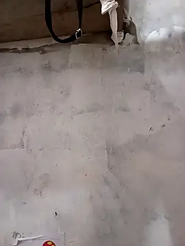 sia 143 online show from October 2025 05:40:01 AM