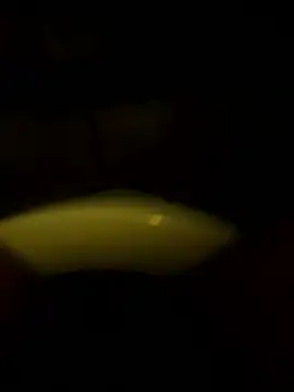 Cock4LadiesONLY online show from October 2025 02:48:02 PM