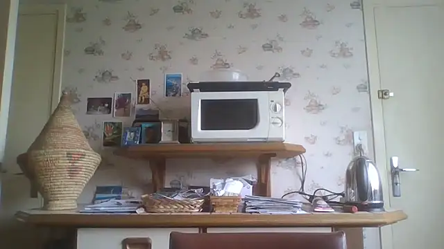 Snapshot of gegevincent chatting on May 2026 11:27:01 AM gegevincent online show from May 2026 11:27:01 AM