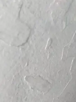 yaraa49 online show from October 2025 05:07:01 AM