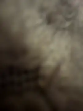 Snapshot of anonimgirl18old chatting on February 2026 08:58:01 PM anonimgirl18old online show from February 2026 08:58:01 PM