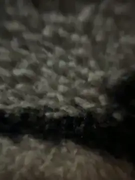 Snapshot of anonimgirl18old chatting on February 2026 05:19:01 PM anonimgirl18old online show from February 2026 05:19:01 PM