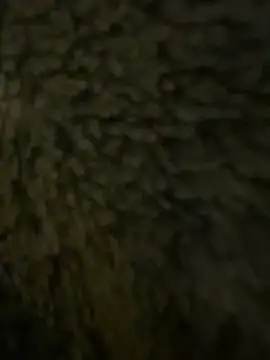 Snapshot of anonimgirl18old chatting on February 2026 06:31:01 PM anonimgirl18old online show from February 2026 06:31:01 PM