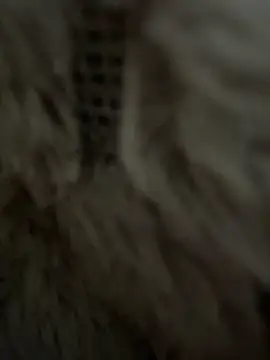 Snapshot of anonimgirl18old chatting on February 2026 08:35:02 AM anonimgirl18old online show from February 2026 08:35:02 AM