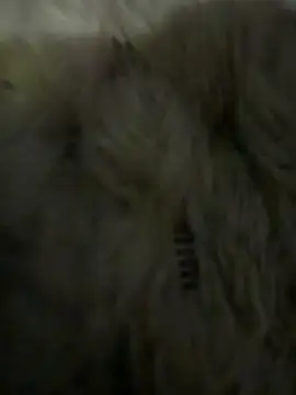 anonimgirl18old online show from March 2026 05:09:02 PM