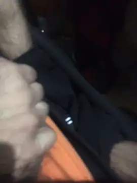 Luigi831 online show from April 2026 05:12:02 AM