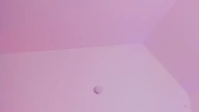 Taylormaxwell online show from November 2025 08:22:01 PM