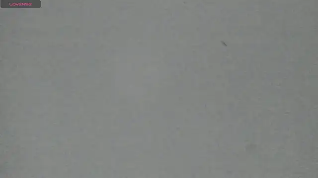 Snapshot of Sophia_Ebony chatting on May 2026 12:13:01 PM Sophia Ebony online show from May 2026 12:13:01 PM