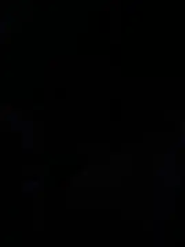 Maine8in online show from April 2026 09:45:01 AM