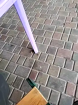 Snapshot of Odecca11 chatting on November 2025 08:25:02 AM Odecca11 online show from November 2025 08:25:02 AM