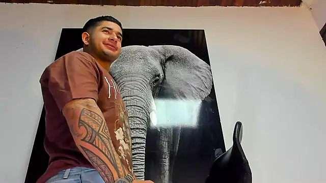 king falconer online show from October 2025 02:47:02 AM