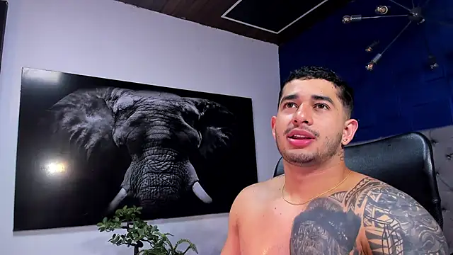 king falconer online show from January 2026 03:54:01 AM