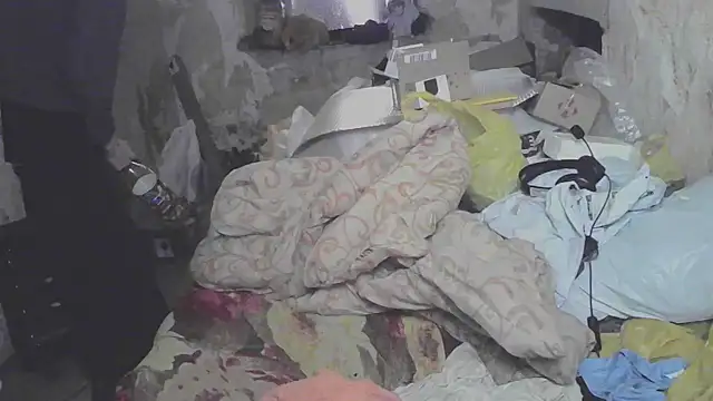 makarov1993 online show from April 2026 11:11:02 AM