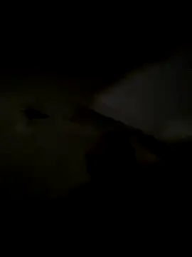 freedmar online show from November 2025 11:32:01 AM