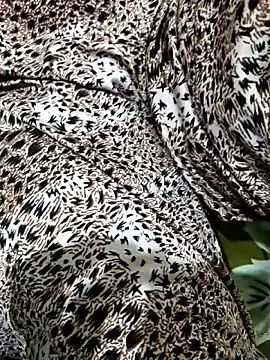 Dassing strip couple online show from April 2026 10:34:01 AM