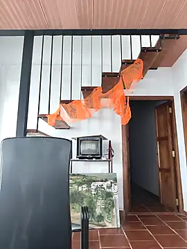 Hiroshi Shen online show from November 2025 12:07:01 PM