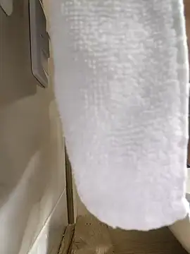 Hiroshi Shen online show from November 2025 11:23:02 AM