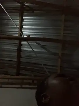 Snapshot of ChubbyAssyiyer chatting on September 2025 10:32:01 PM ChubbyAssyiyer online show from September 2025 10:32:01 PM