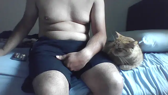 kocasosisli online show from July 2026 04:27:02 AM