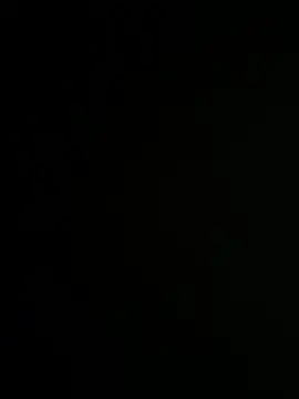 Snapshot of Bray9031 chatting on December 2025 04:58:02 PM Bray9031 online show from December 2025 04:58:02 PM