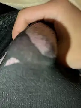 rrrrrriyyffhyeeee online show from February 2026 12:29:02 AM