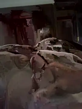 Snapshot of DANIELOLIVEIRA2 chatting on February 2026 04:56:02 PM DANIELOLIVEIRA2 online show from February 2026 04:56:02 PM