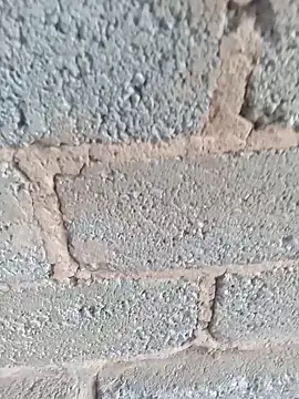 Snapshot of KingBonga chatting on October 2025 04:37:02 AM KingBonga online show from October 2025 04:37:02 AM