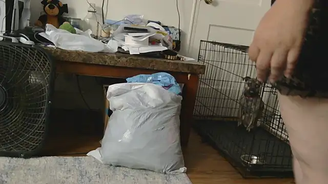 Babygrldes online show from April 2026 02:03:01 AM