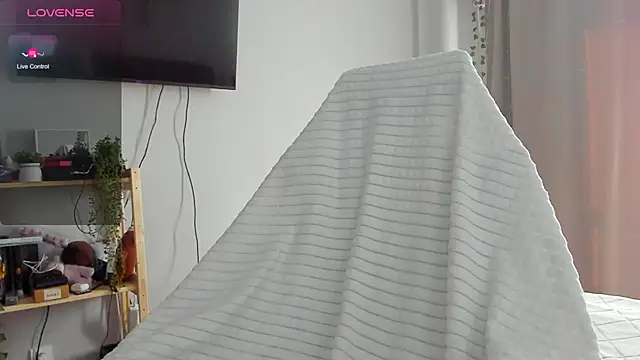 wwow meow online show from February 2026 06:42:02 AM