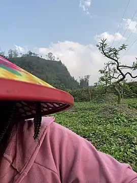 isaaa5 online show from March 2026 09:47:01 AM