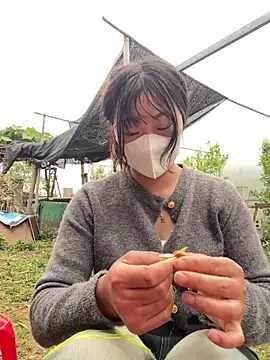 isaaa5 online show from April 2026 10:18:02 AM