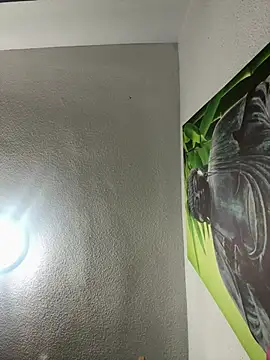 aavrdvh33 online show from March 2026 10:13:02 PM