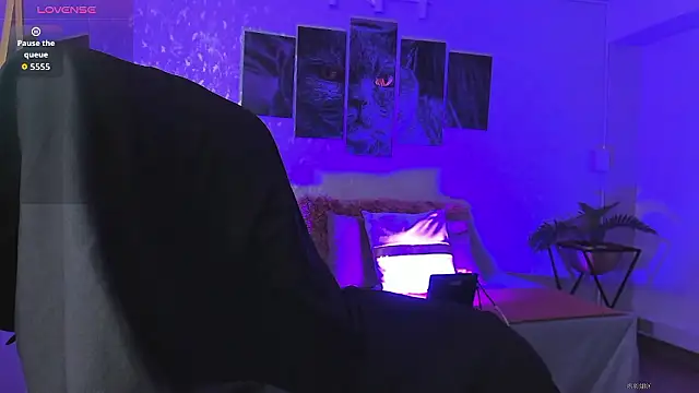 nils saint online show from January 2026 03:12:02 AM