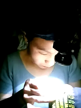 nasy lady online show from October 2025 12:37:02 PM