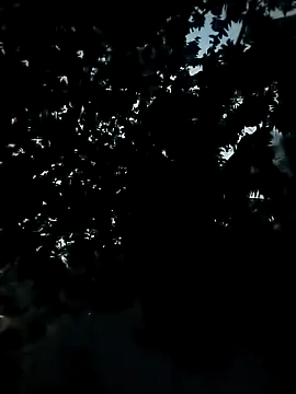 Girls pussy rider online show from November 2025 12:38:01 PM