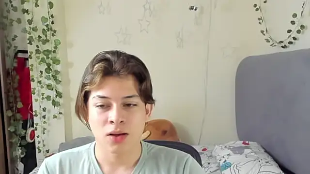 Snapshot of Felix_art chatting on September 2025 07:02:02 PM Felix art online show from September 2025 07:02:02 PM