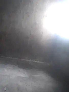 Chaotam1 online show from November 2025 07:30:02 AM