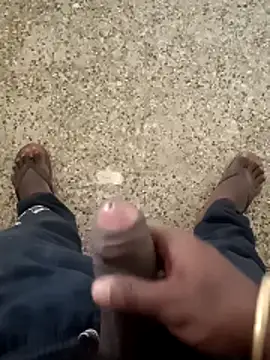 telugu b online show from December 2025 08:34:02 AM