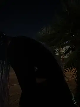 Snapshot of TranSexualJade95 chatting on November 2025 10:06:02 AM TranSexualJade95 online show from November 2025 10:06:02 AM