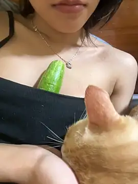 Sayhi xo online show from December 2025 03:17:01 PM