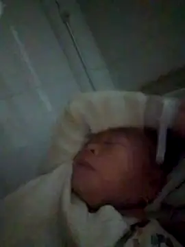 Snapshot of VangLe73 chatting on December 2025 10:51:03 PM VangLe73 online show from December 2025 10:51:03 PM