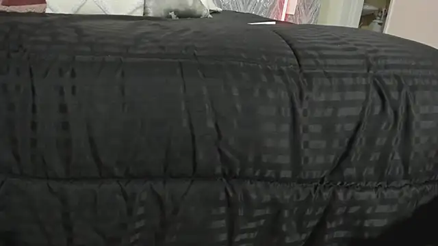 MartinaRizzi online show from February 2026 08:43:01 PM