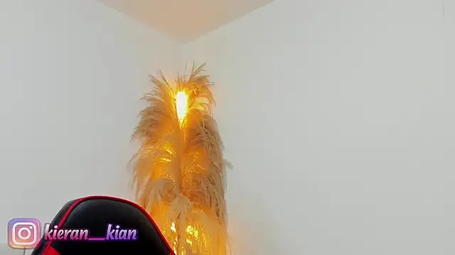 Snapshot of Kieran_kian chatting on April 2026 03:55:02 PM Kieran kian online show from April 2026 03:55:02 PM