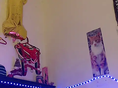 Npga96 online show from April 2026 08:01:02 PM