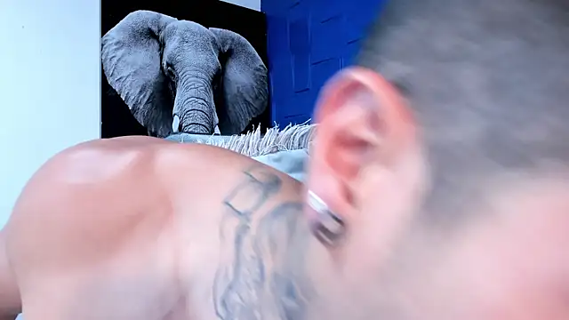 andres-clark92 online show from November 2025 06:07:02 PM