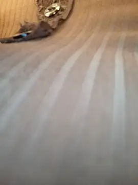 Sandiq99six online show from November 2025 11:05:02 PM