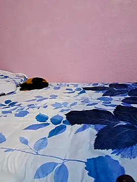 tharki-anand online show from February 2026 06:52:01 PM